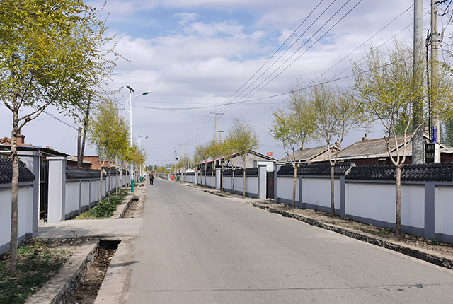 新農(nóng)村太陽能路燈