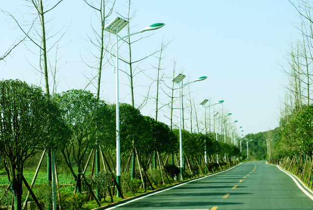 鄉(xiāng)村太陽(yáng)能路燈
