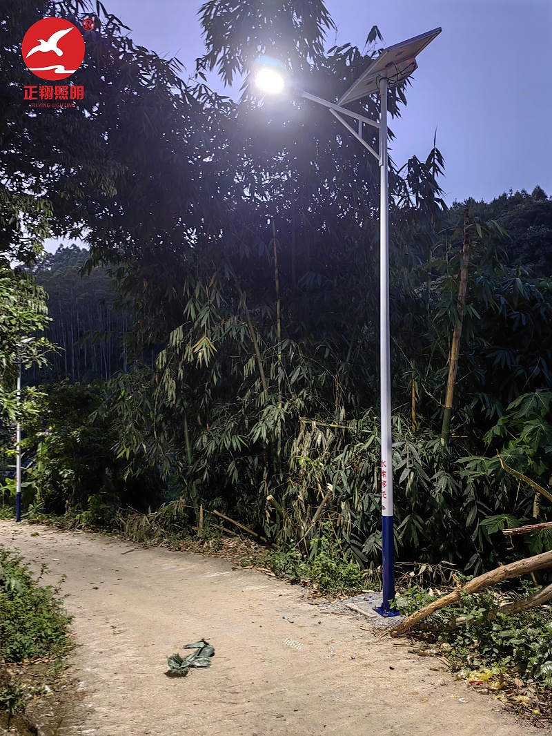 廣西平果市太陽能路燈