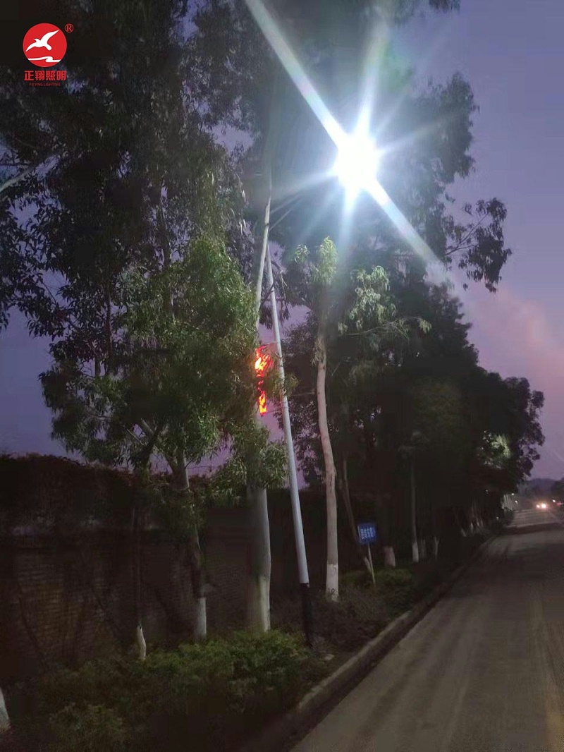 惠州市河南岸下馬莊中國結(jié)太陽能路燈