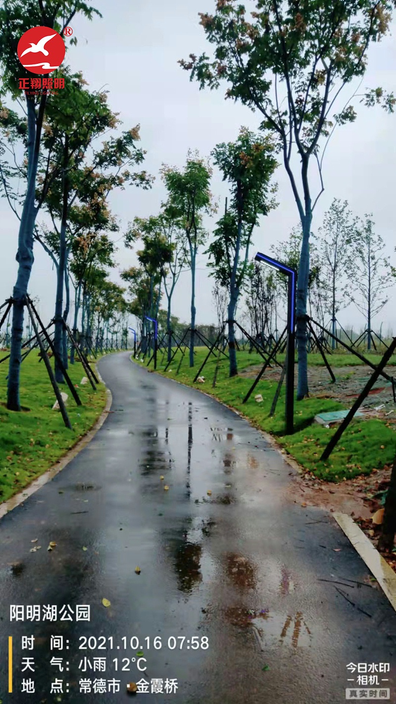 湖南常德陽明湖景區(qū)LED景觀燈安裝